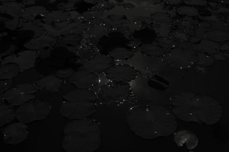 © Angela Galia - A small glimmer of light.