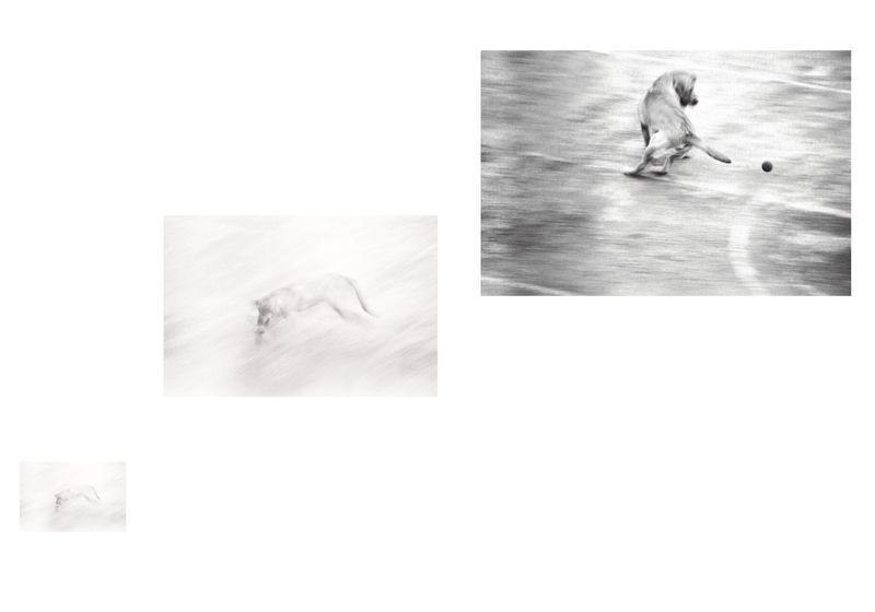 © Angela Galia - The chase was gone.