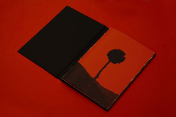 Image from a project on PhMuseum