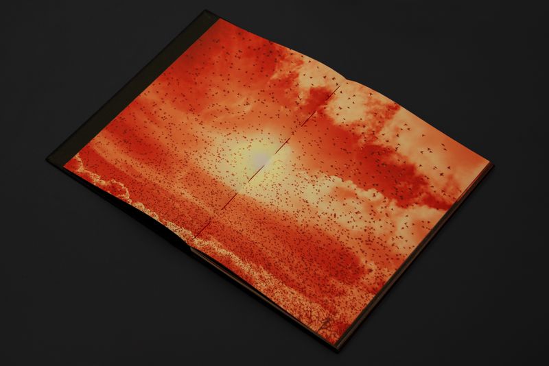 Image from a project on PhMuseum