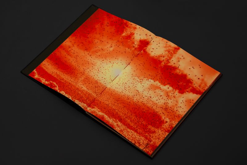 Image from a project on PhMuseum