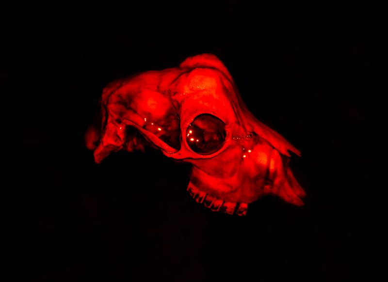 Image from a project on PhMuseum