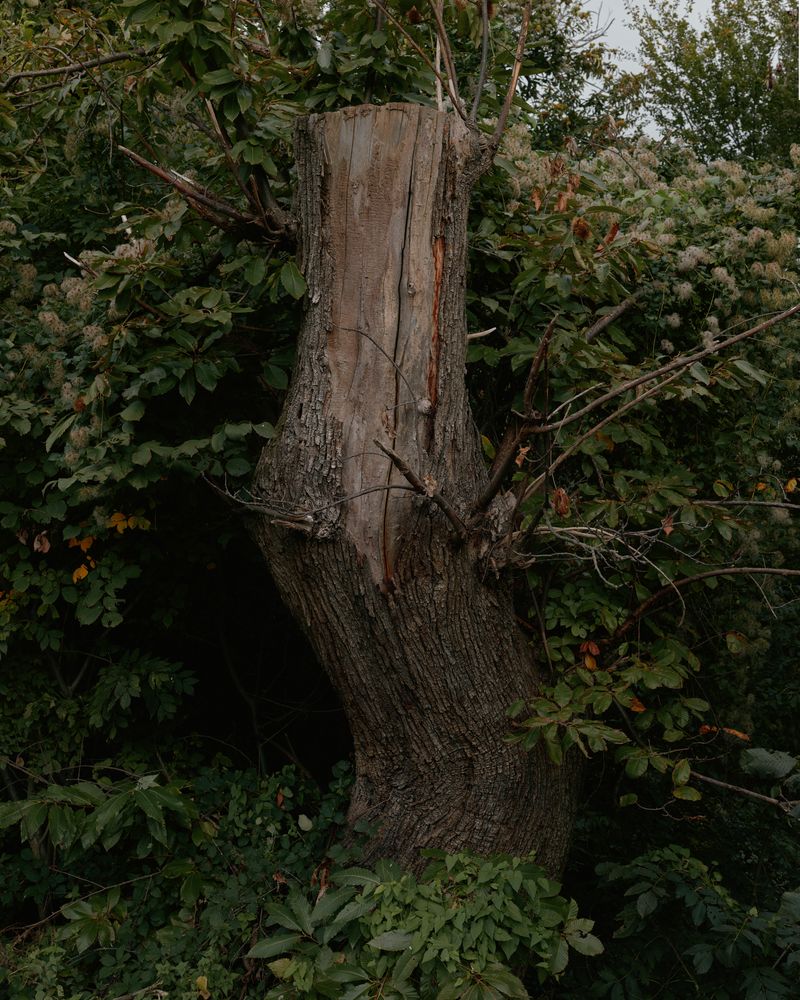 Image from a project on PhMuseum