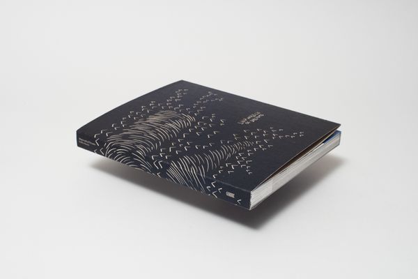 Image from a project on PhMuseum