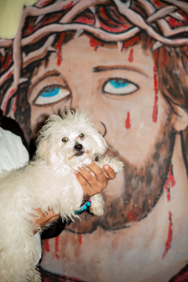 Image from a project on PhMuseum