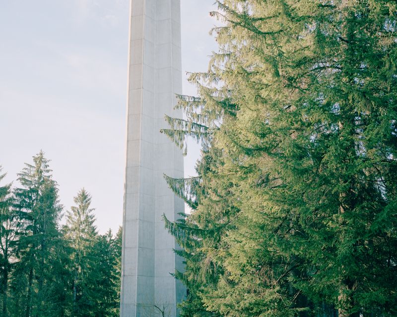 © Silas Bahr - Concrete structure in a Swiss pine forest.