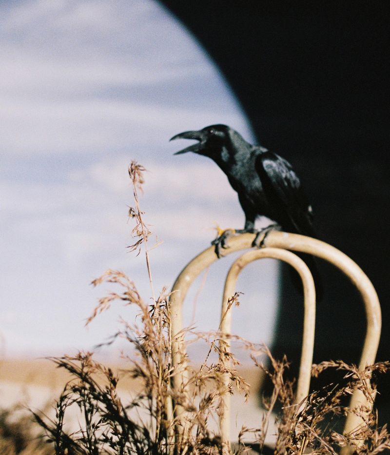 © Kimberly Wee Ebol - Image from the Mundane photography project