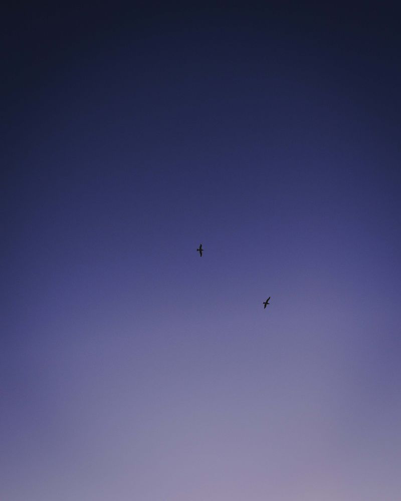 © Kimberly Wee Ebol - Image from the Mundane photography project