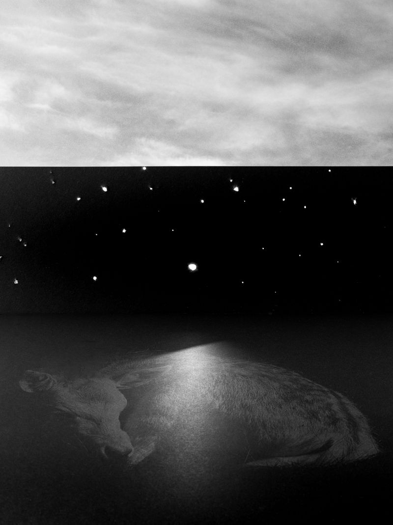 © Marc Verbeek - Introspection