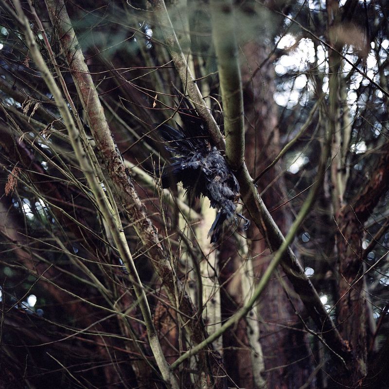 © Clyde Lepage - Image from the Pazea Sovni photography project