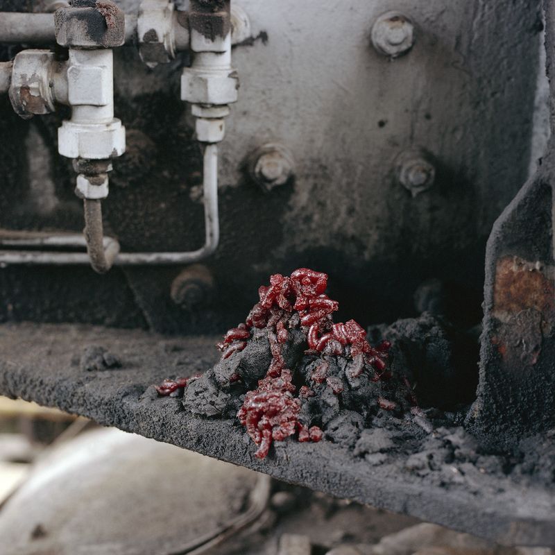 © Clyde Lepage - Image from the Pazea Sovni photography project