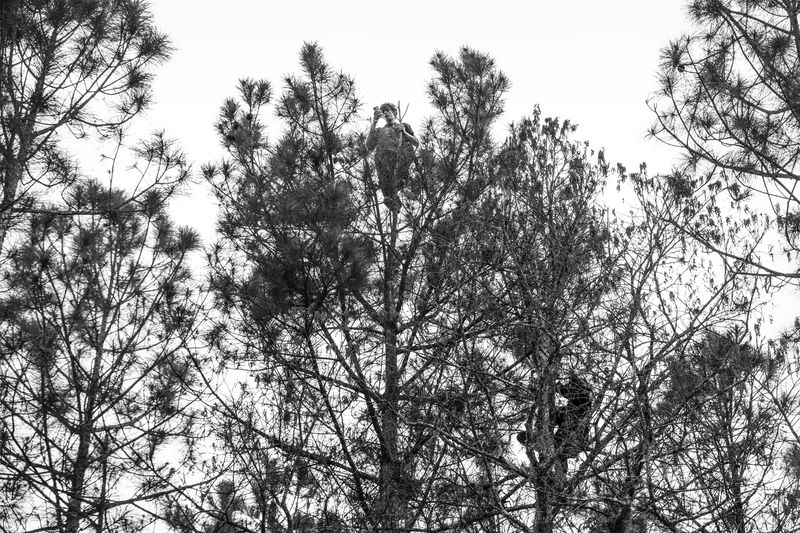 © Sam Gulliver - Image from the The Secret Ladder photography project