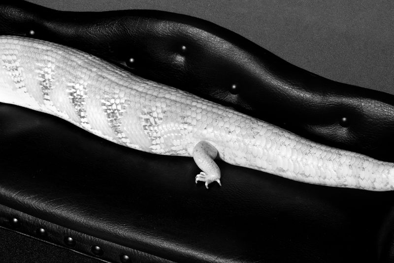 © Sam Gulliver - Image from the The Secret Ladder photography project