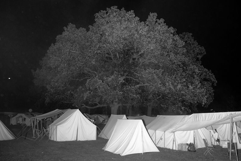 © Sam Gulliver - The Union camp at the 2025 Jackson, MI Civil War Muster.