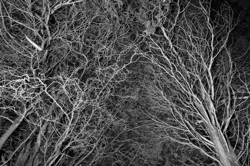 © Sam Gulliver - Image from the Not Really Now (Not Anymore) photography project