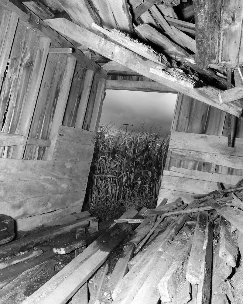 © Sam Gulliver - Image from the Not Really Now (Not Anymore) photography project