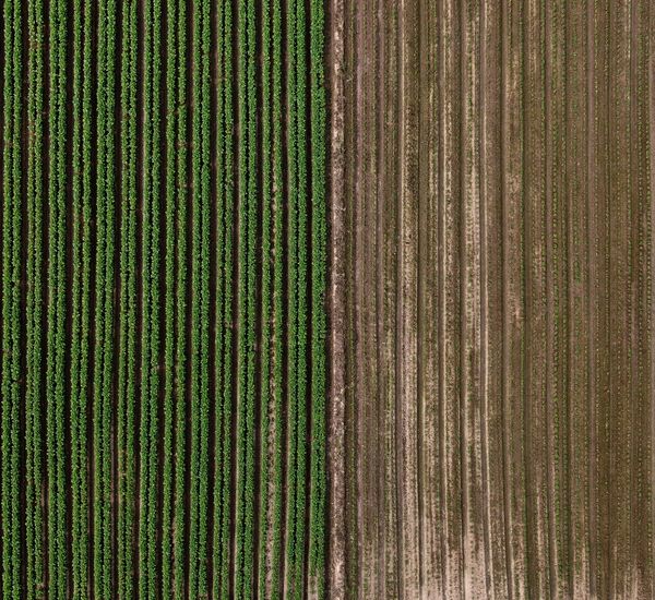 © Poung young Kwak - Image from the Codes hidden in the NON photography project