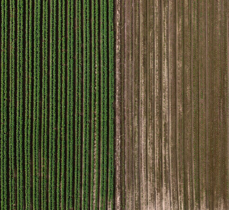 © Poung young Kwak - Image from the Codes hidden in the NON photography project