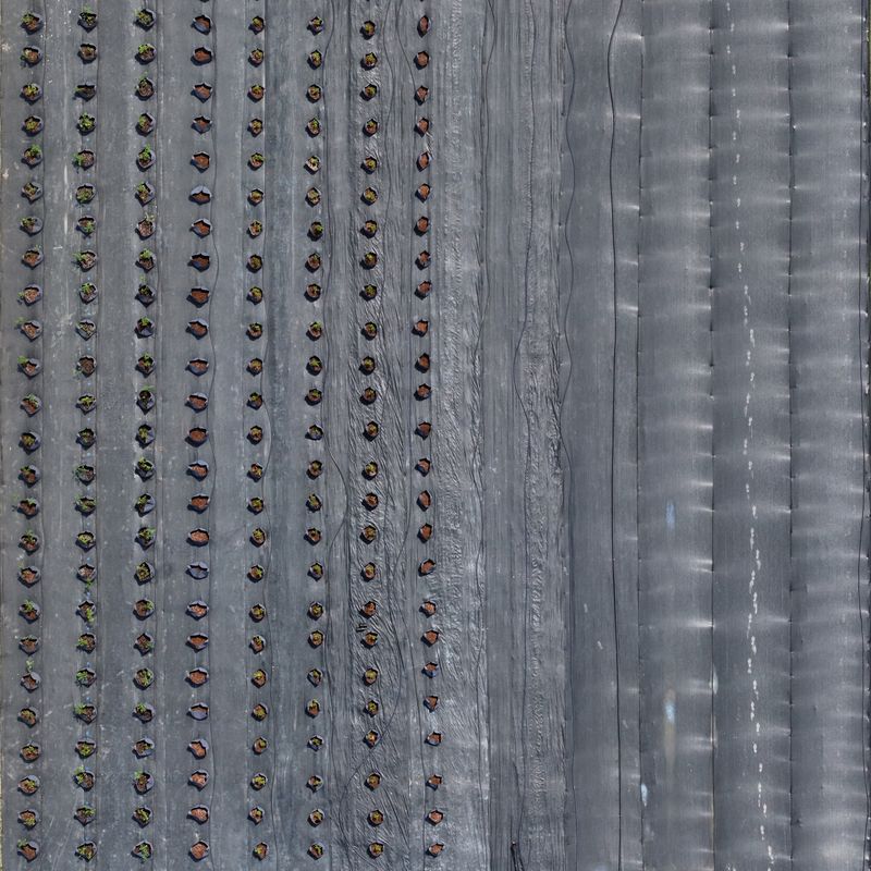 © Poung young Kwak - Image from the Codes hidden in the NON photography project