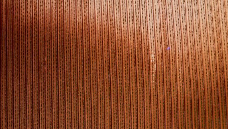 © Poung young Kwak - Image from the Codes hidden in the NON photography project