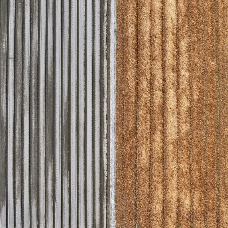 © Poung young Kwak - Image from the Codes hidden in the NON photography project