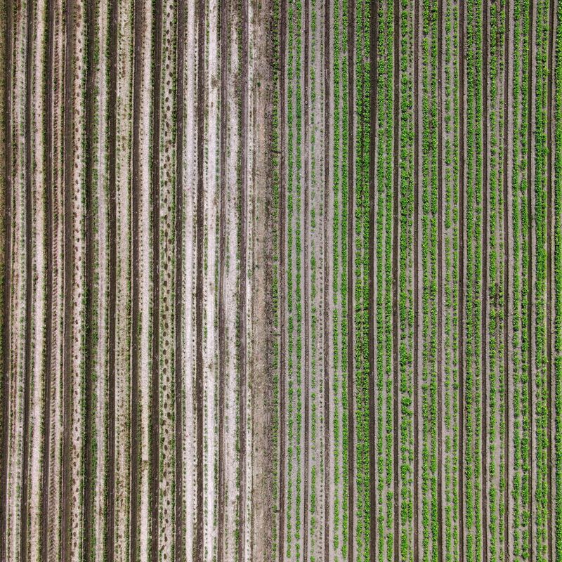 © Poung young Kwak - Image from the Codes hidden in the NON photography project