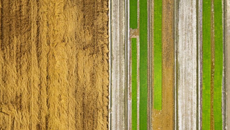 © Poung young Kwak - Image from the Codes hidden in the NON photography project