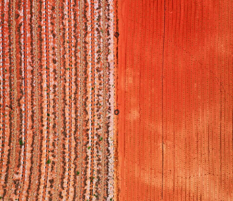 © Poung young Kwak - Image from the Codes hidden in the NON photography project