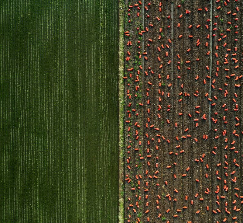 © Poung young Kwak - Image from the Codes hidden in the NON photography project