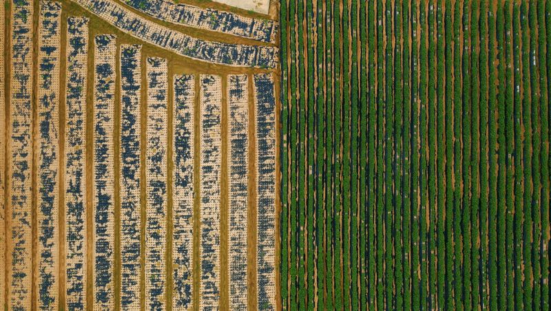 © Poung young Kwak - Image from the Codes hidden in the NON photography project