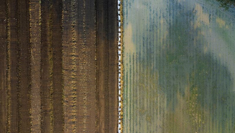 © Poung young Kwak - Image from the Codes hidden in the NON photography project