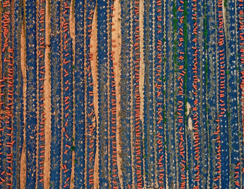 © Poung young Kwak - Image from the Codes hidden in the NON photography project