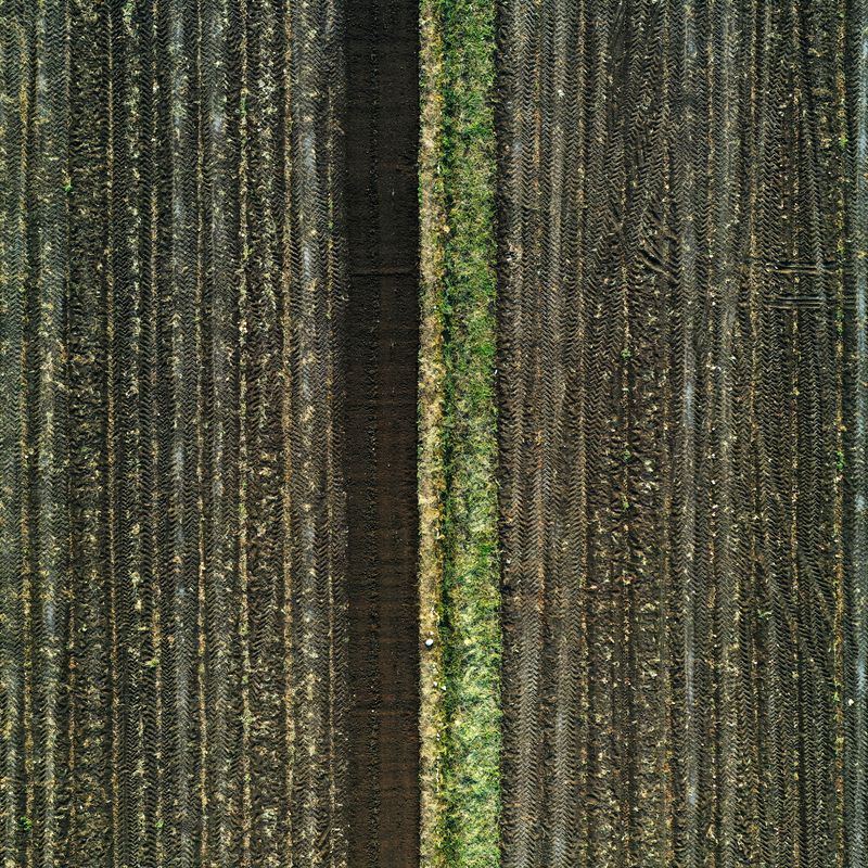 © Poung young Kwak - Image from the Codes hidden in the NON photography project