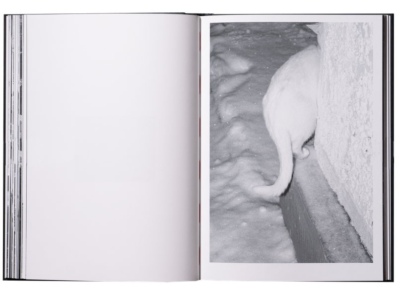 Image from a project on PhMuseum