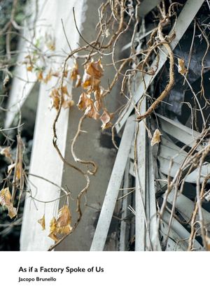 As if a Factory Spoke of Us by Jacopo Brunello