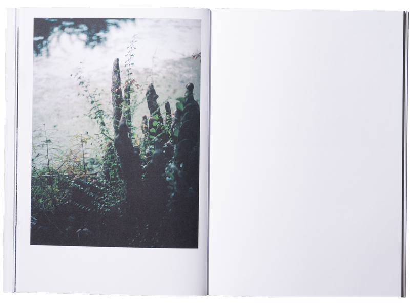 Image from a project on PhMuseum