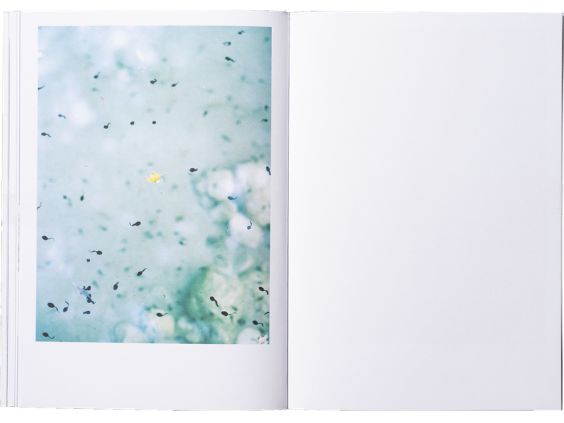 Image from a project on PhMuseum