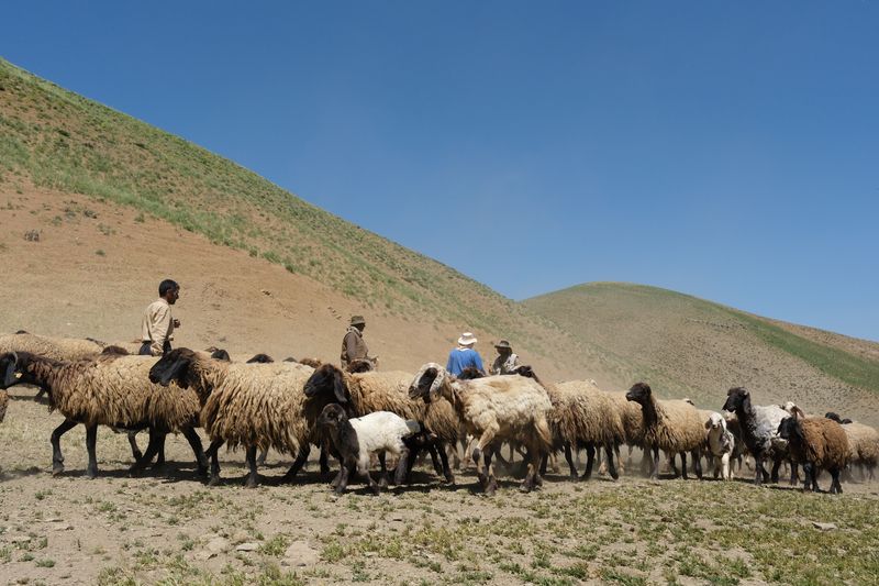 © Süheyla yıldız - Image from the Lived Geography photography project