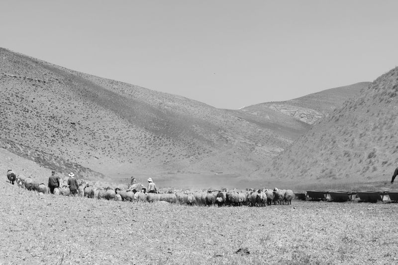 © Süheyla yıldız - Image from the At the Scale of the Mountain photography project