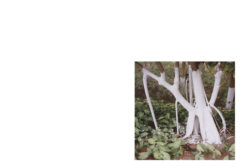 © Yichen Zhou - Image from the Daily Talk photography project