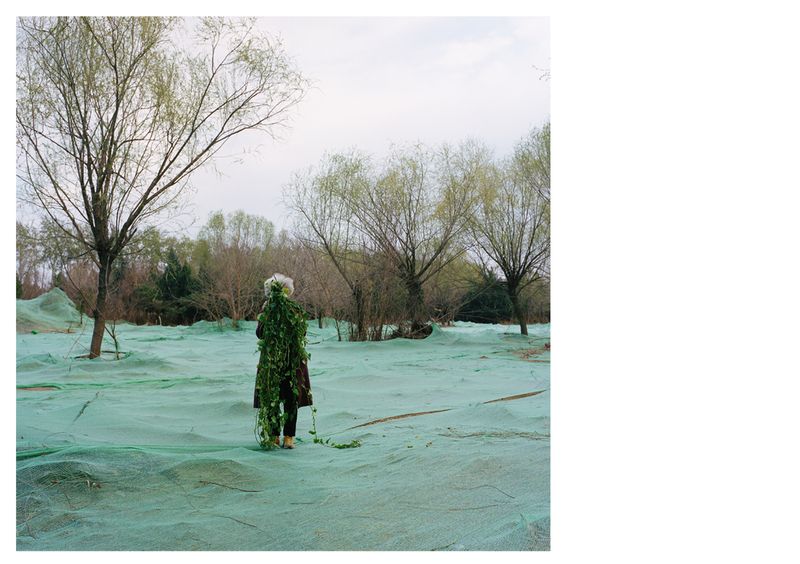 © Yichen Zhou - Image from the The Jade Branches photography project