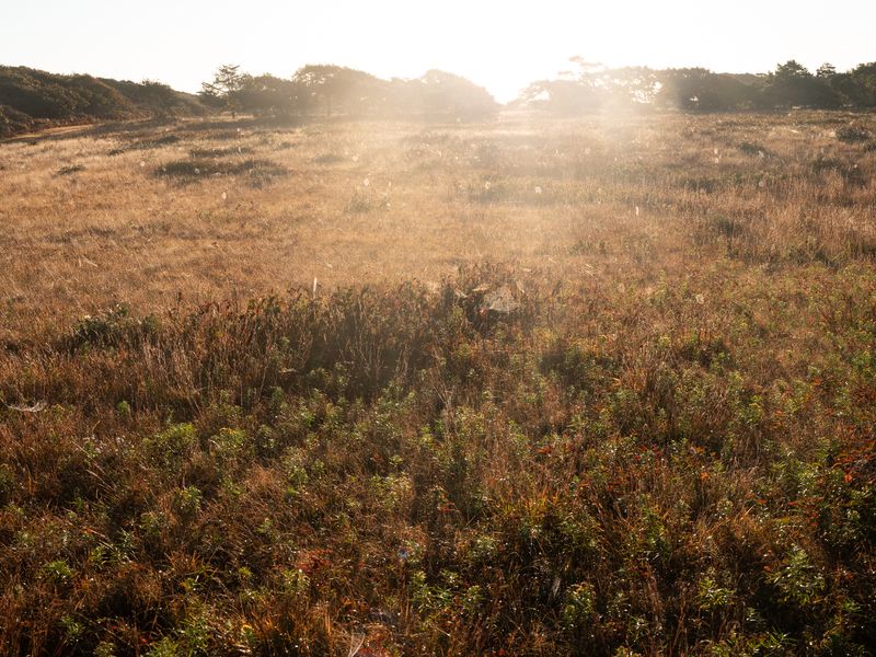 © Molly Peters - Image from the Landfall photography project