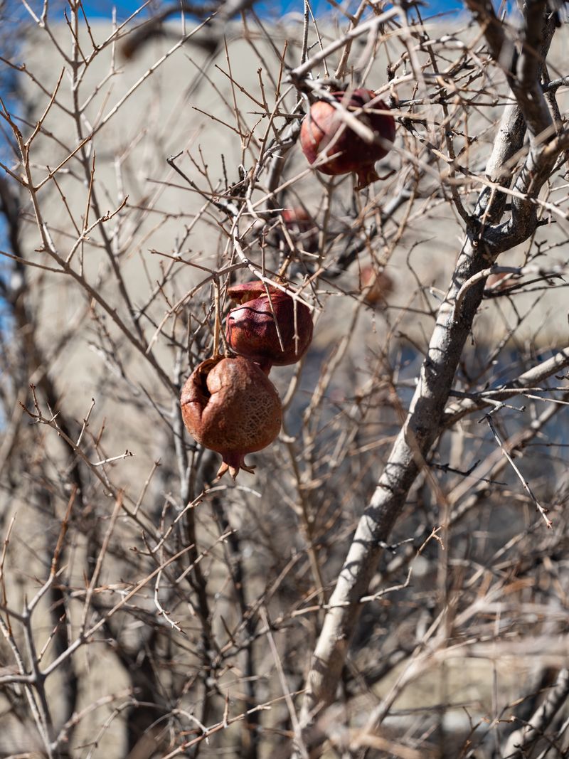 © Molly Peters - Image from the Landfall photography project