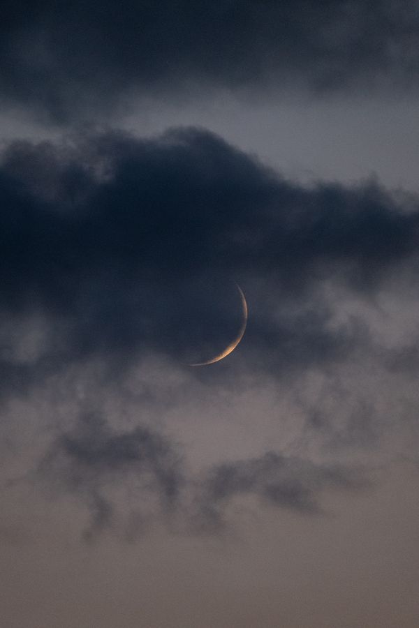 © Molly Peters - Image from the Landfall photography project