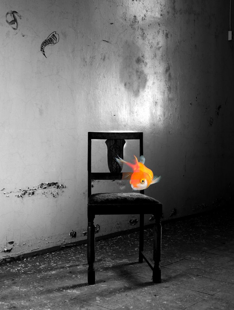 © Ingrid Wessel Bernal - Aurelia´s eternal dream
