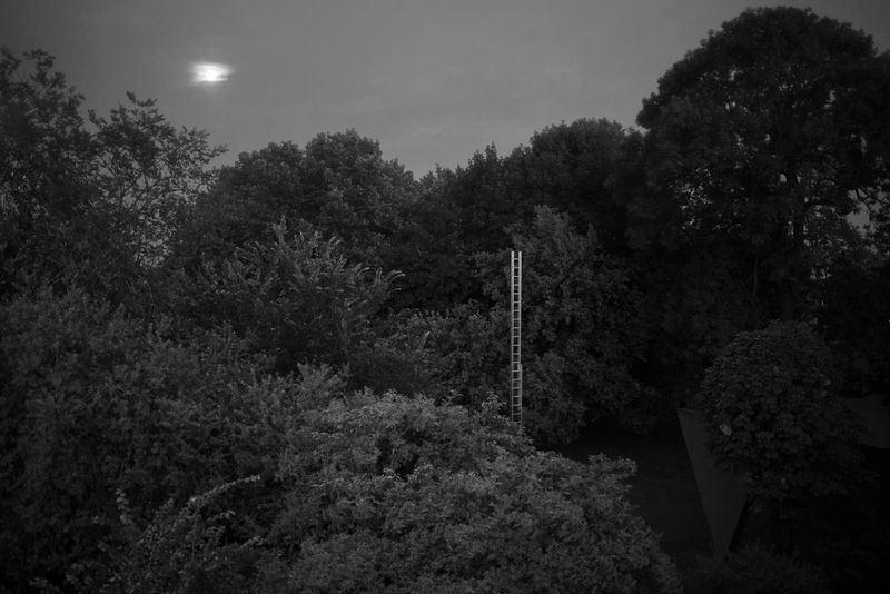 © Ian Willms - Image from the We Shall See photography project