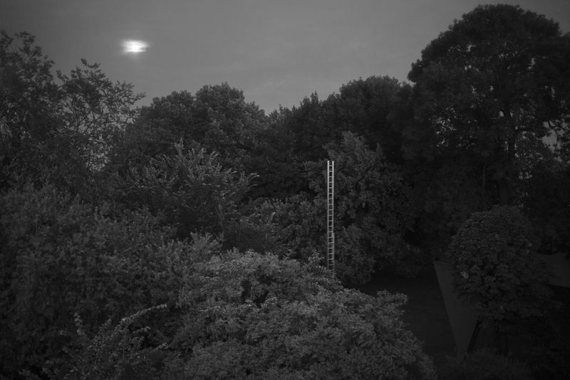 © Ian Willms - Image from the We Shall See photography project