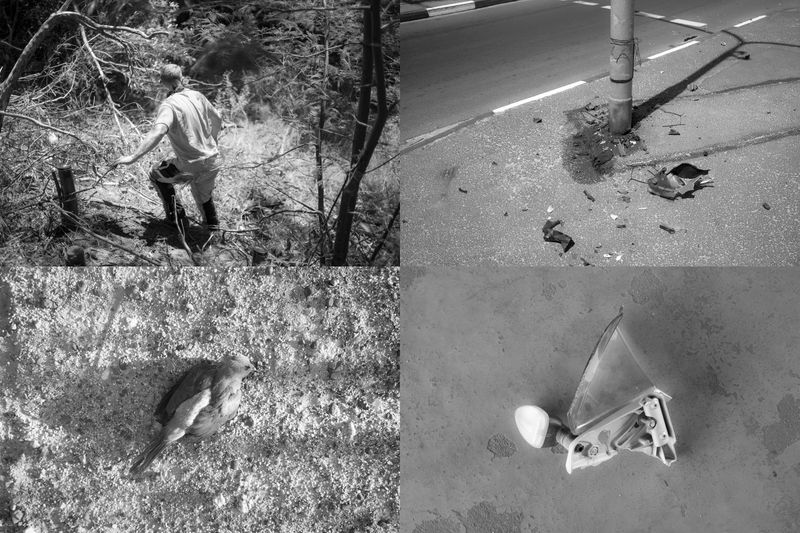 © Ian Willms - Image from the We Shall See photography project