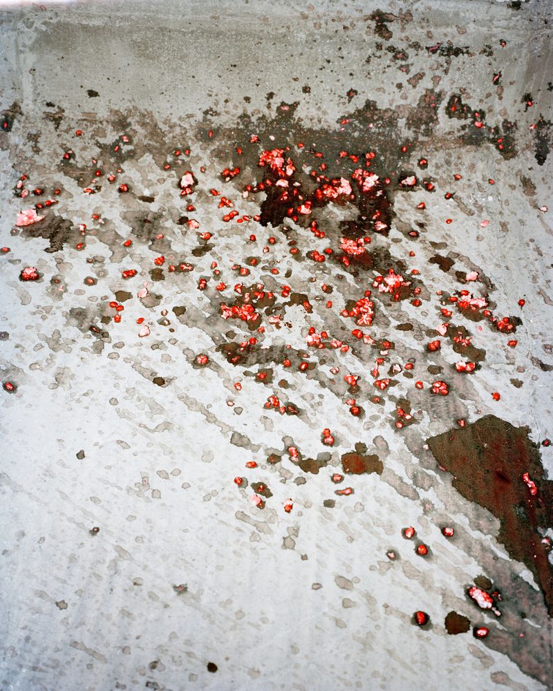 © Hashem Shakeri - Pure Kandahar Pomegranate