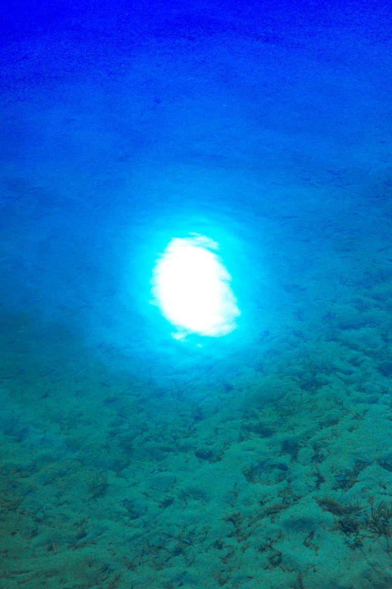 © Lucía Rincon - Soy el Sol que me seca y la lluvia que me baña. (I have the Sun that dries me and the rain that wash me.)